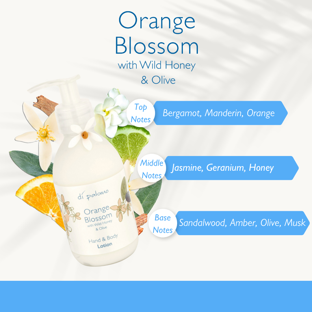 Hand & Body Lotion - Orange Blossom - 240ml